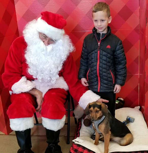 Santa & Dog 3