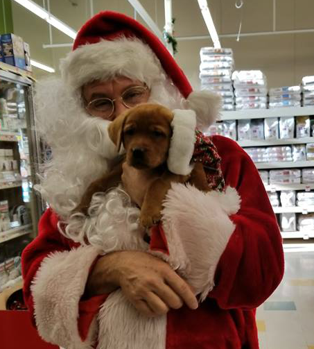 Santa & Dog 2