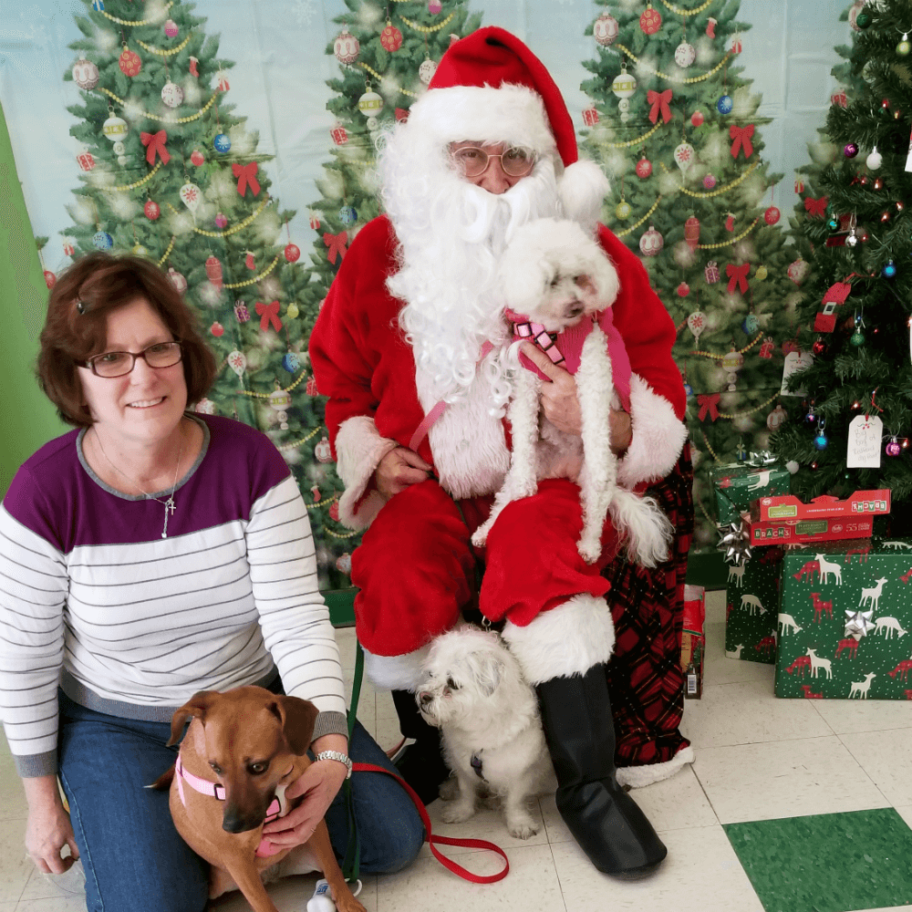 Santa & Dogs 4